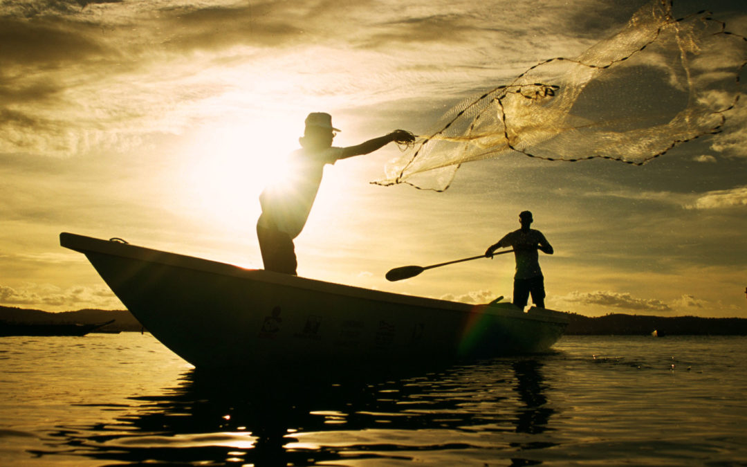 Comissão aprova seguro-desemprego para pescador profissional no período do defeso