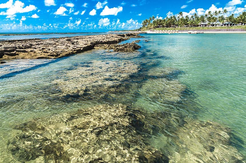 Projeto quer proibir venda de protetores solares tóxicos a recifes de corais