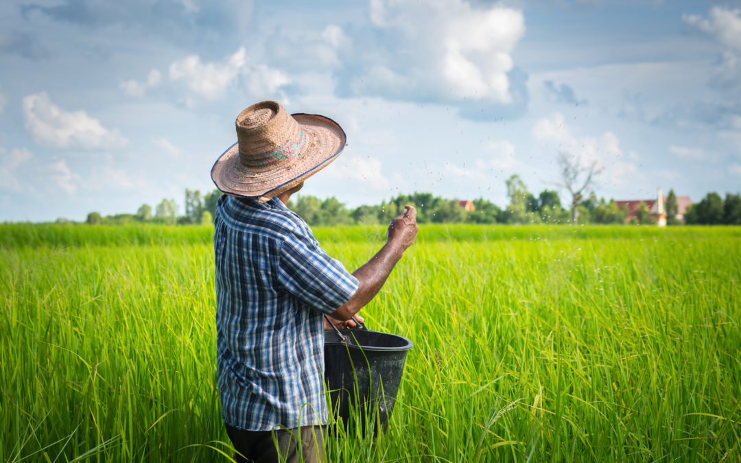 Trabalho rural: entre conquistas e desafios