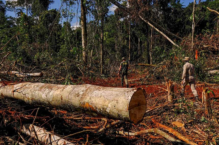 Projeto dobra penas por crimes contra o meio ambiente