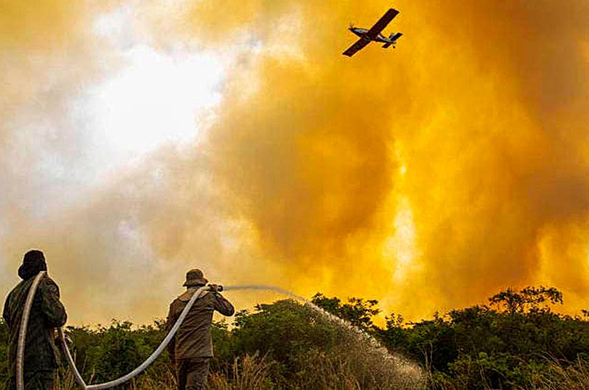 Projeto prevê uso de aviação agrícola no combate a incêndio florestal