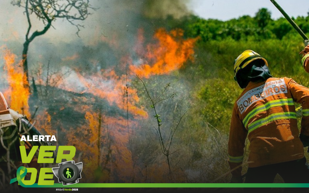 Usina tem responsabilidade reconhecida por queimaduras sofridas por monitor de incêndios