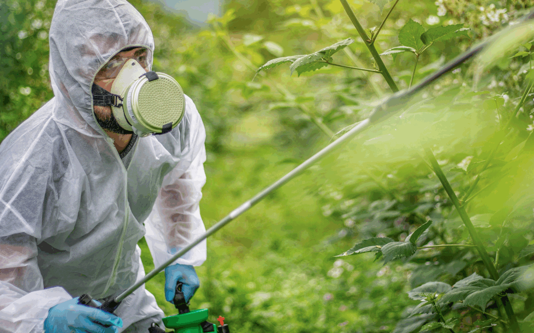 Supremo avança no julgamento sobre incentivos fiscais a agrotóxicos