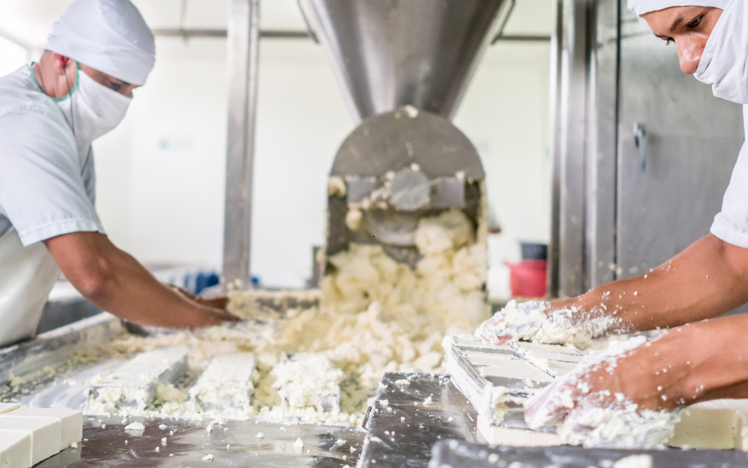 Fábrica de laticínios não é responsável por parcelas devidas a ajudante de transportadora contratada