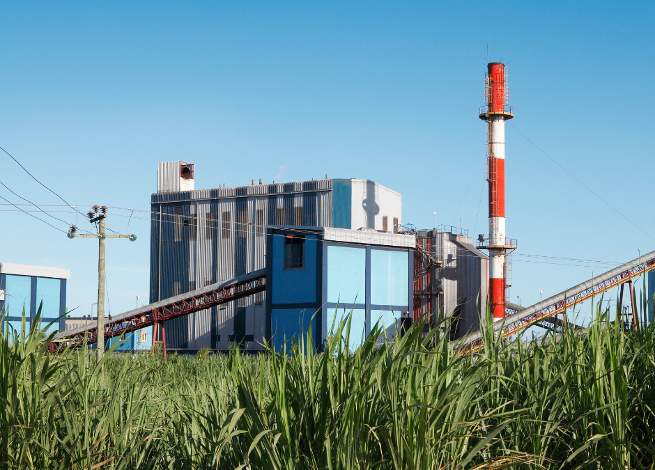 Usina é responsabilizada por morte de menino de três anos em desabamento de telhado