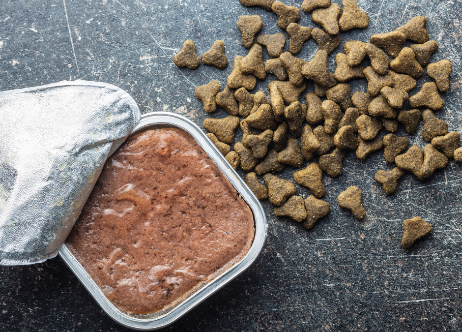 STF invalida lei mineira que exigia informações adicionais em rótulos de produtos para animais